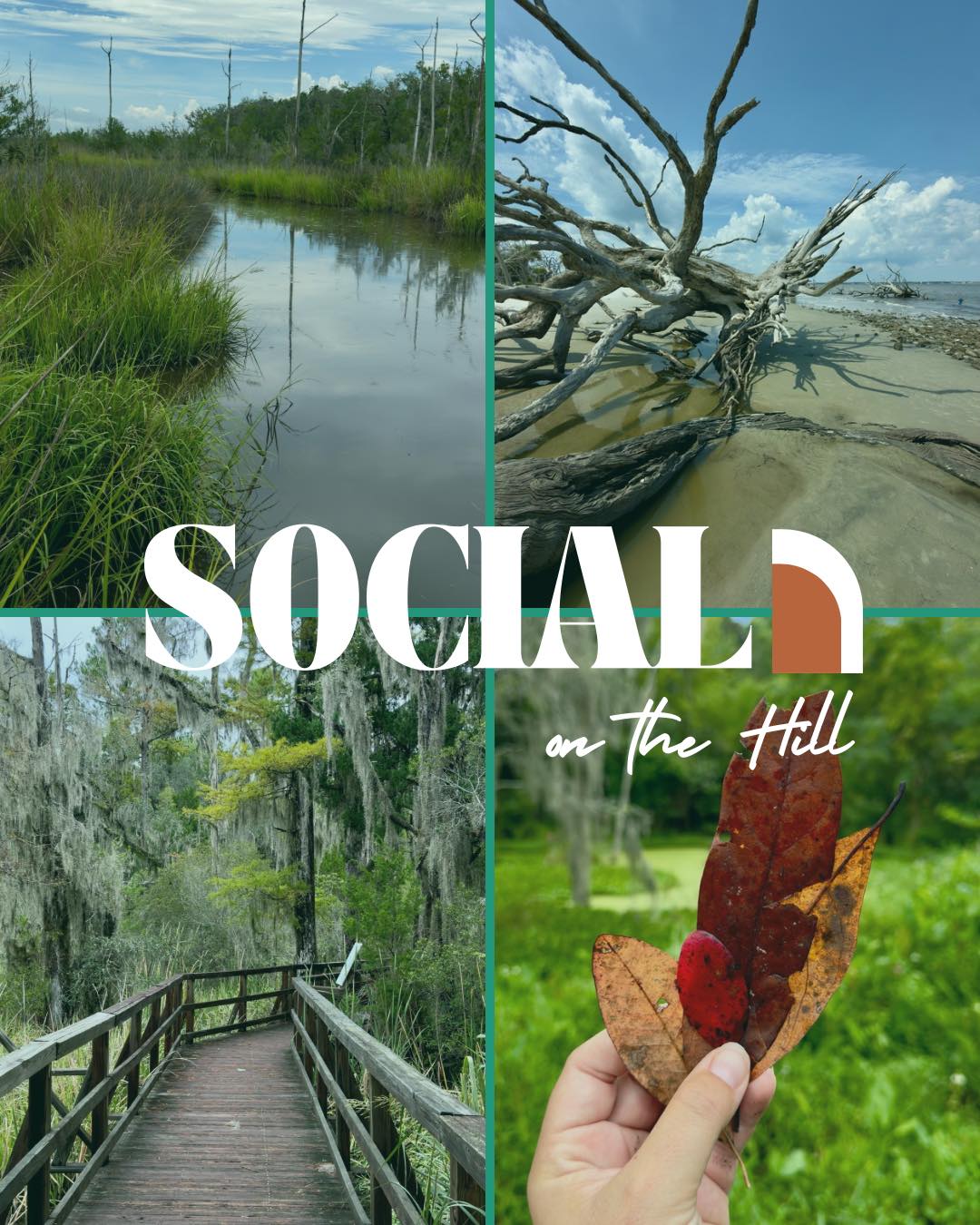 Social on the Hill nature photo collage